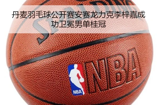 丹麦羽毛球公开赛安赛龙力克李梓嘉成功卫冕男单桂冠